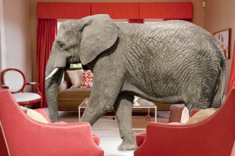 elephant-in-room